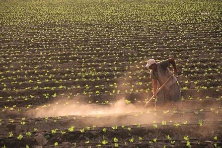 TÜİK: Tarımsal girdi fiyat endeksi yıllık yüzde 33,25, aylık yüzde 1,39 arttı