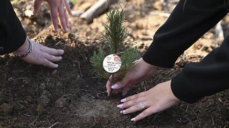 İstanbul'da "Evlilik Kredisi"ne 26 bin 780 kişi başvurdu